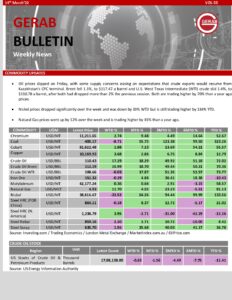 Gerab News Letter-Vol-33