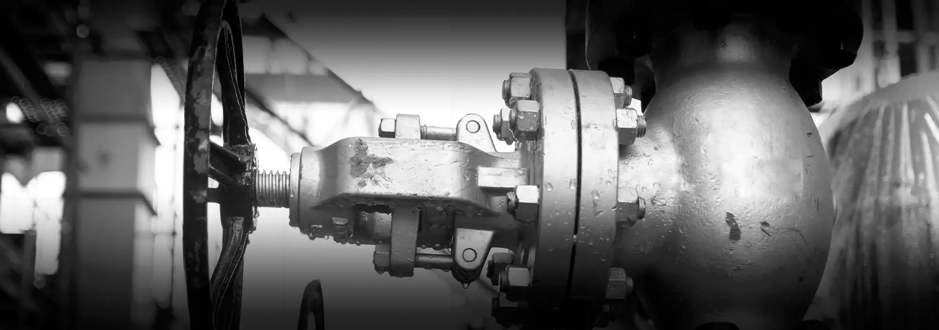 Globe Valves